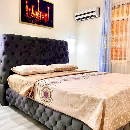 Jazzy Homes Top Class,100 Mb Fast Internet